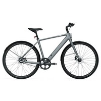 Bicicleta Elétrica TENWAYS CGO600 Pro