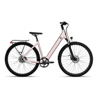 Bicicleta Elétrica TENWAYS CGO800S