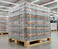 Premium Wood Briquettes 864kg | Pallet 96 Packs NovaLenha | Eco-Friendly Fuel Portugal