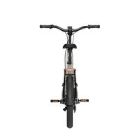 Bicicleta Elétrica TENWAYS CGO Compact