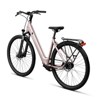 Bicicleta Elétrica TENWAYS CGO800S