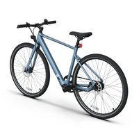 Bicicleta Elétrica TENWAYS CGO600