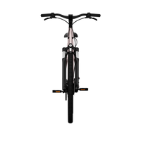 Bicicleta Elétrica TENWAYS CGO800S