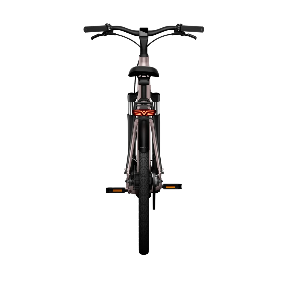 Bicicleta Elétrica TENWAYS CGO800S