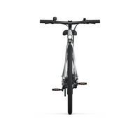 Bicicleta Elétrica TENWAYS CGO600