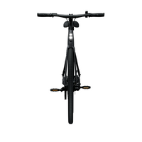 Bicicleta Elétrica TENWAYS CGO600 Pro