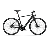 Bicicleta Elétrica TENWAYS CGO600