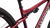 BICICLETA SPECIALIZED S-WORKS EPIC 9 2027