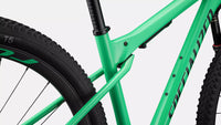 BICICLETA SPECIALIZED EPIC WORLD CUP EXPERT (M) 2024