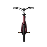 Bicicleta Elétrica TENWAYS AGO Compact Performance
