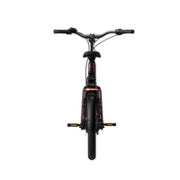 Bicicleta Elétrica TENWAYS AGO Compact Performance