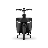 Bicicleta Elétrica TENWAYS CARGO ONE