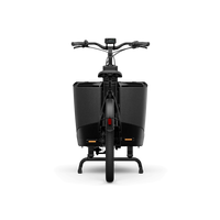 Bicicleta Elétrica TENWAYS CARGO ONE