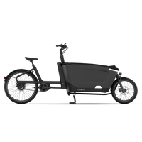 Bicicleta Elétrica TENWAYS CARGO ONE