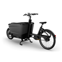 Bicicleta Elétrica TENWAYS CARGO ONE