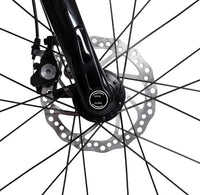 Bicicleta Elétrica CARBO X