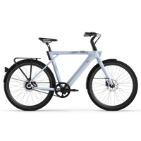 Bicicleta Elétrica TENWAYS CGO009