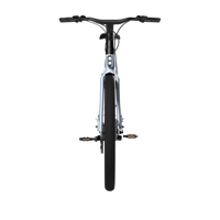 Bicicleta Elétrica TENWAYS CGO009