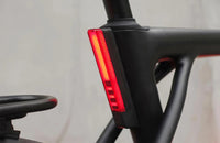 Bicicleta Elétrica TENWAYS CGO009