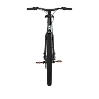 Bicicleta Elétrica TENWAYS CGO009