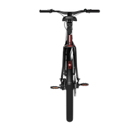 Bicicleta Elétrica TENWAYS CGO009