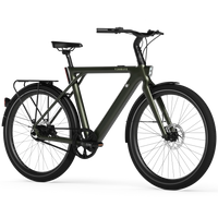 Bicicleta Elétrica TENWAYS CGO009
