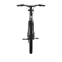 Bicicleta Elétrica TENWAYS CGO009
