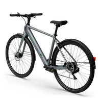 Bicicleta Elétrica TENWAYS CGO600 Plus