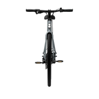 Bicicleta Elétrica TENWAYS CGO600 Plus