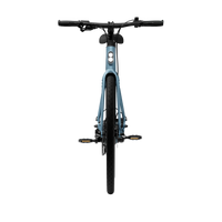 Bicicleta Elétrica TENWAYS CGO600 Plus