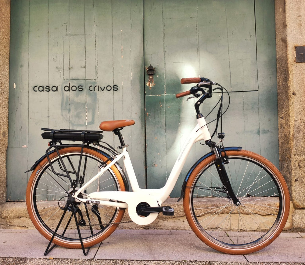 Bicicleta Elétrica Adriatica New Age