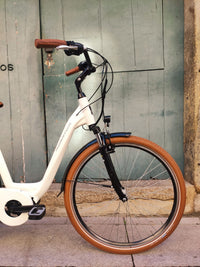 Bicicleta Elétrica Adriatica New Age