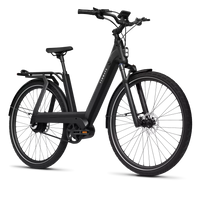 Bicicleta Elétrica TENWAYS AGO T