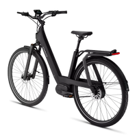 Bicicleta Elétrica TENWAYS AGO T
