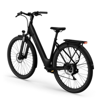 Bicicleta Elétrica TENWAYS CGO800S Plus