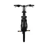 Bicicleta Elétrica TENWAYS CGO800S Plus