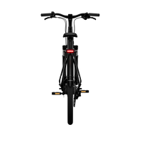 Bicicleta Elétrica TENWAYS CGO800S Plus