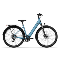 Bicicleta Elétrica TENWAYS CGO800S Plus