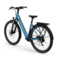 Bicicleta Elétrica TENWAYS CGO800S Plus