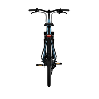 Bicicleta Elétrica TENWAYS CGO800S Plus