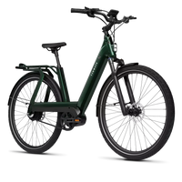 Bicicleta Elétrica TENWAYS AGO T