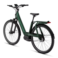 Bicicleta Elétrica TENWAYS AGO T