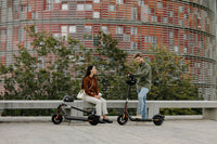 Trotinete Eletrica Segway Ninebot KickScooter F2 PRO E