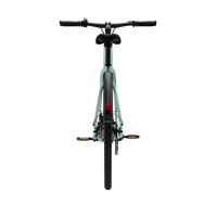 Bicicleta Elétrica TENWAYS CGO600 Pro