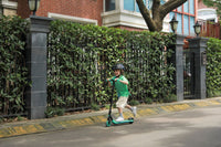 Trotinete Elétrica Segway Ninebot eKickScooter ZING A6