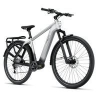Bicicleta Elétrica TENWAYS AGO X Classic Edtion