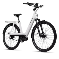 Bicicleta Elétrica TENWAYS AGO T