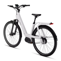 Bicicleta Elétrica TENWAYS AGO T
