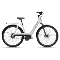 Bicicleta Elétrica TENWAYS AGO T
